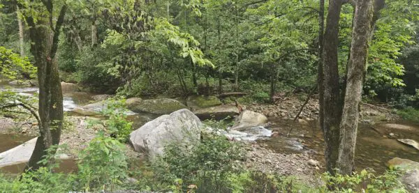 Ride ebikes on US Forest roads approved for motor vehicle use. Glid along streams, waterfalls, rocks and trees.